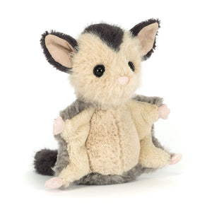 Sugar Glider