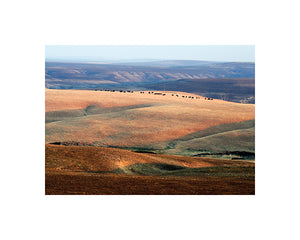 mark feiden matted photograph flint hills kansas